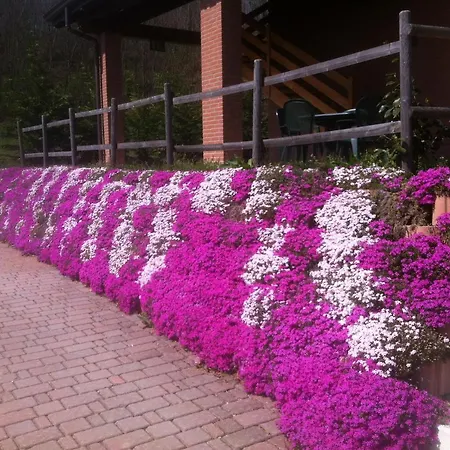 Altana Del Motto Rosso Farm stay *