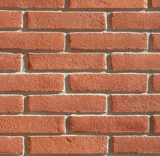 Altana Del Motto Rosso * Gattico